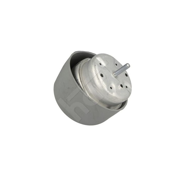 Variklio montavimas HART 330 547