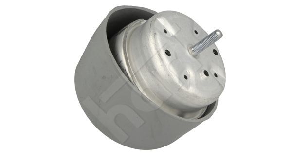 Variklio montavimas HART 330 547