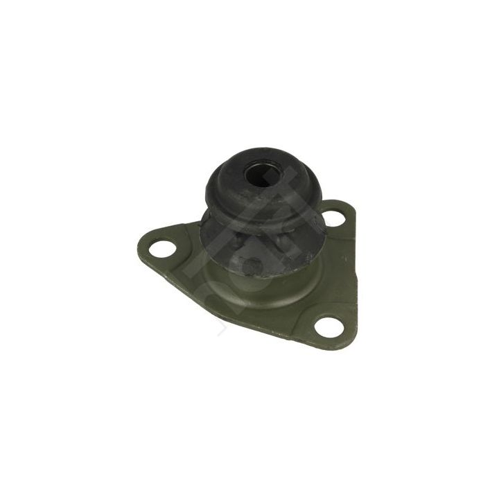 Montavimas, neautomatinė transmisija HART 338 439