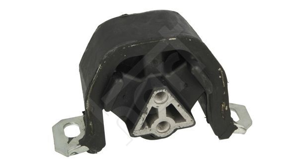 Montavimas, neautomatinė transmisija HART 338 531