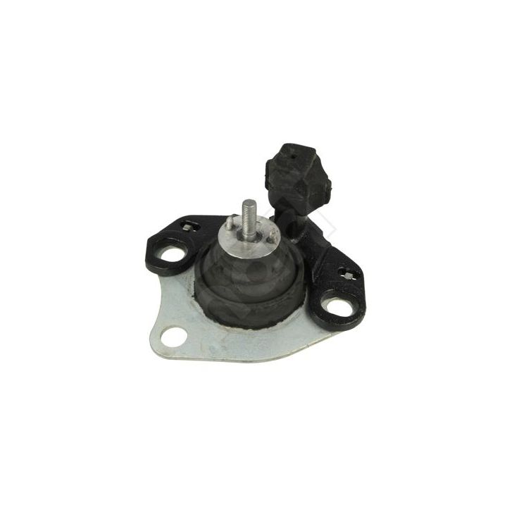 Variklio montavimas HART 339 173