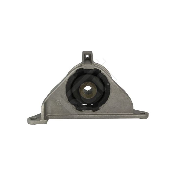 Montavimas, neautomatinė transmisija HART 339 630