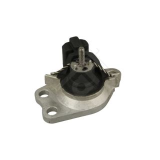 Variklio montavimas HART 346 411