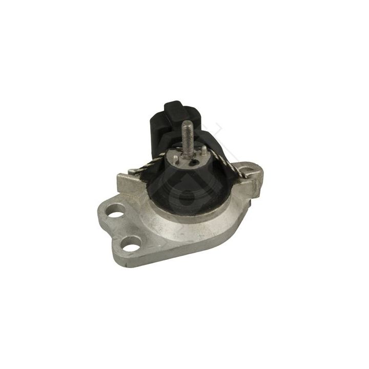 Variklio montavimas HART 346 411