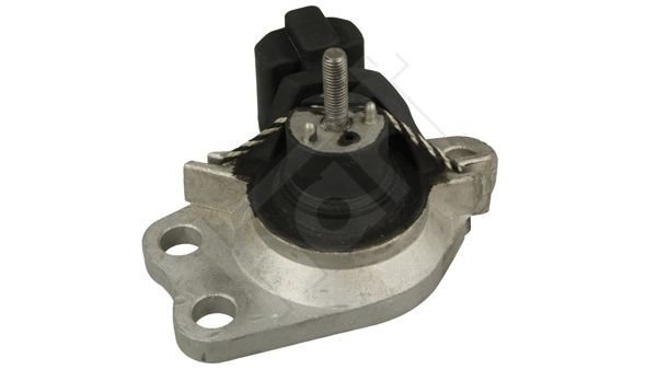 Variklio montavimas HART 346 411