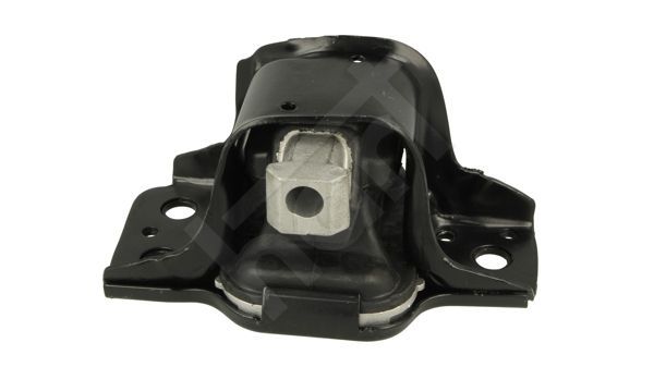 Variklio montavimas HART 346 471