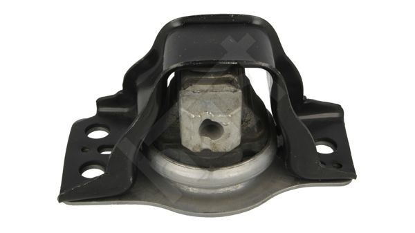 Variklio montavimas HART 346 473