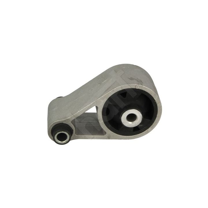 Variklio montavimas HART 348 249