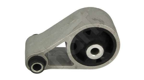 Variklio montavimas HART 348 249