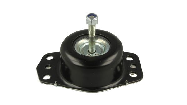 Variklio montavimas HART 348 252