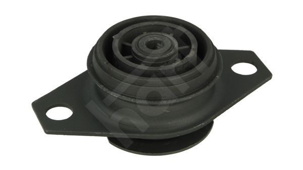 Variklio montavimas HART 348 344