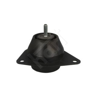 Variklio montavimas HART 348 364