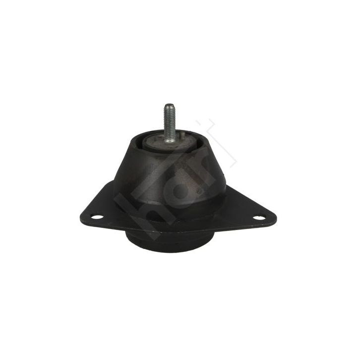 Variklio montavimas HART 348 364