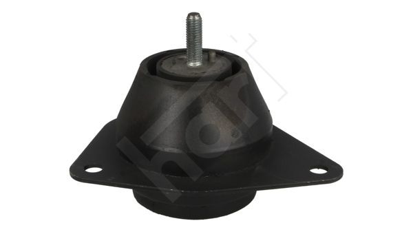 Variklio montavimas HART 348 364