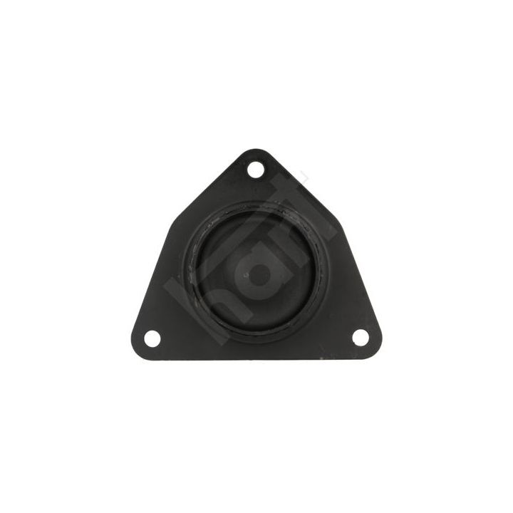 Variklio montavimas HART 348 364