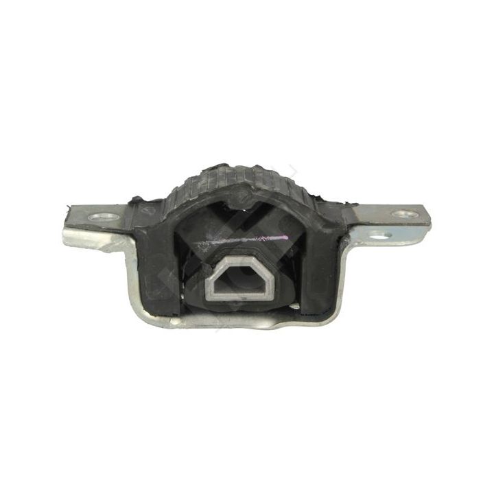 Variklio montavimas HART 348 382