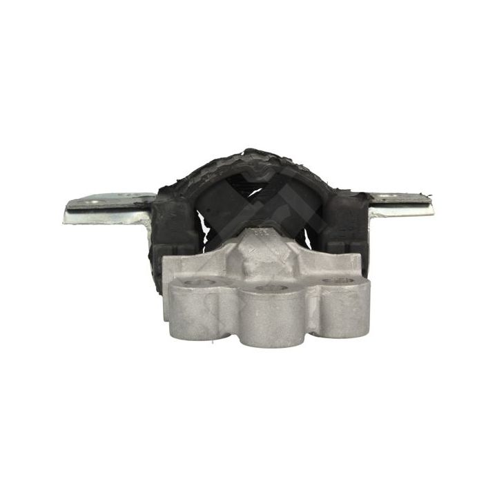 Variklio montavimas HART 348 382