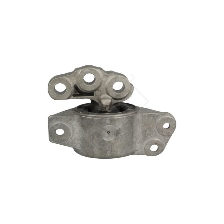 Variklio montavimas HART 348 385