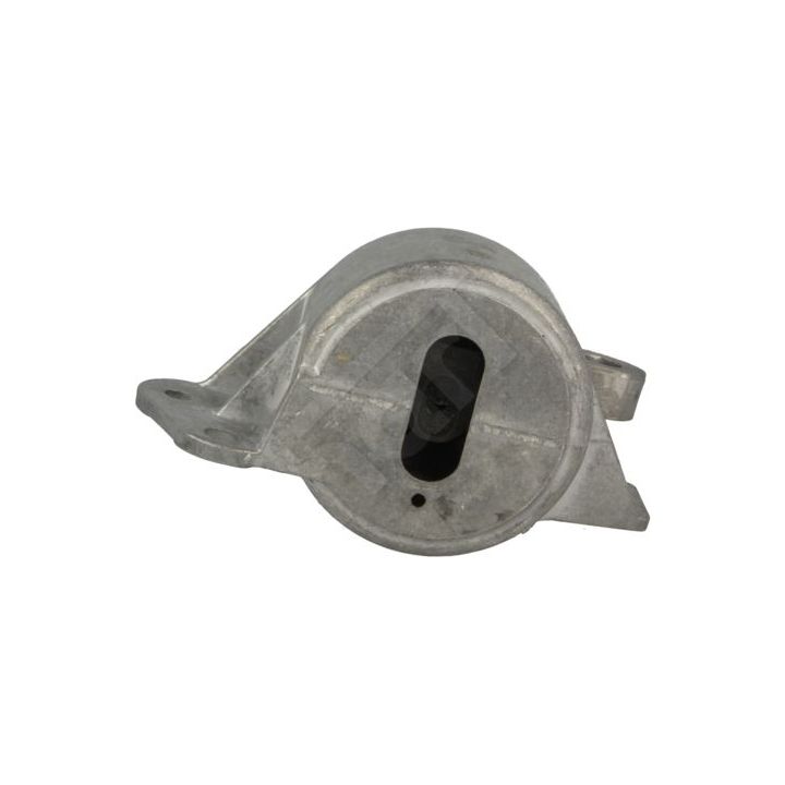 Variklio montavimas HART 348 385