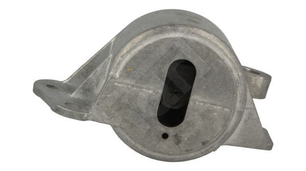 Variklio montavimas HART 348 385