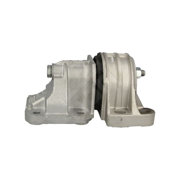 Variklio montavimas HART 348 389