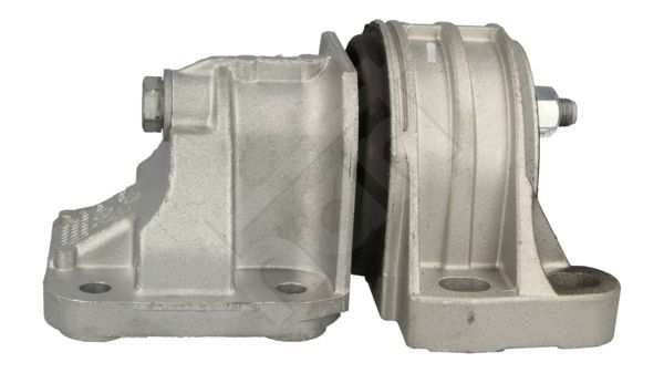 Variklio montavimas HART 348 389