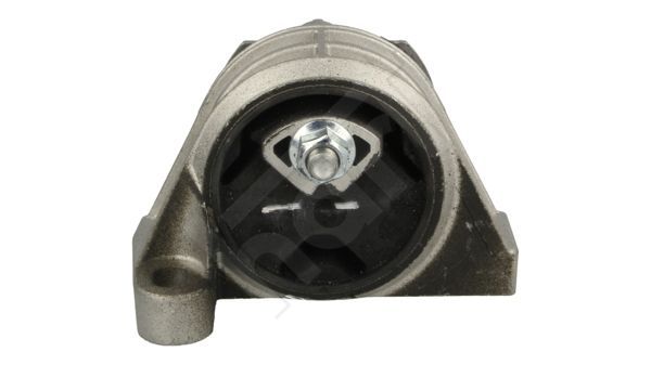 Variklio montavimas HART 348 389