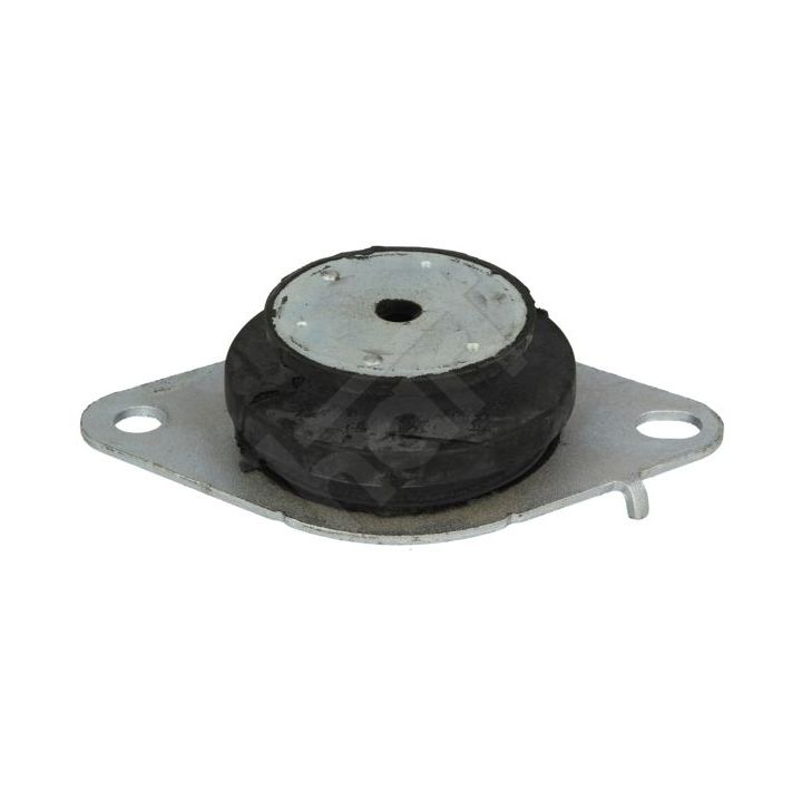 Variklio montavimas HART 348 420