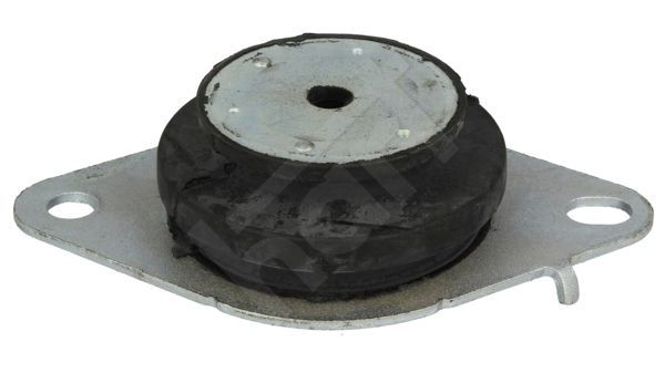 Variklio montavimas HART 348 420