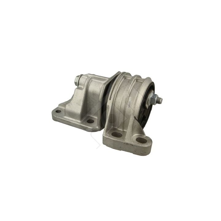 Variklio montavimas HART 348 421