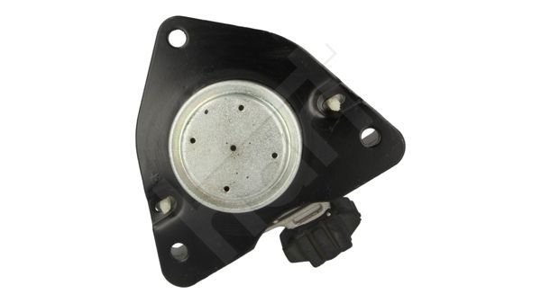 Variklio montavimas HART 348 426