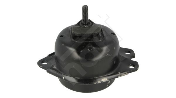 Variklio montavimas HART 348 639