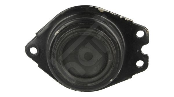 Variklio montavimas HART 348 639