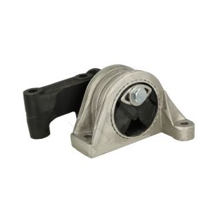 Variklio montavimas HART 351 913