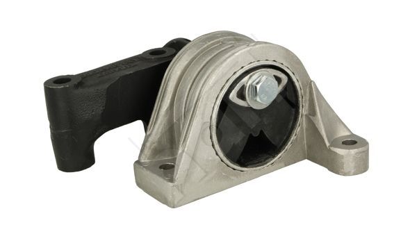 Variklio montavimas HART 351 913