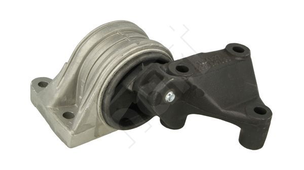 Variklio montavimas HART 351 913