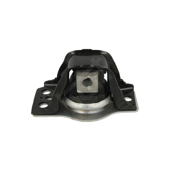 Variklio montavimas HART 353 031