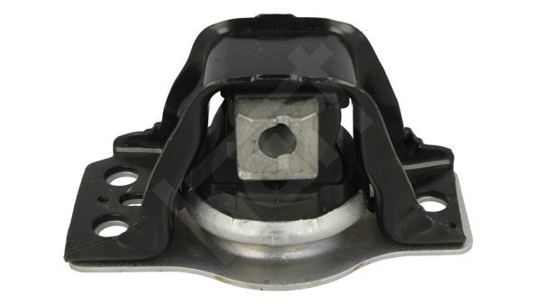 Variklio montavimas HART 353 031