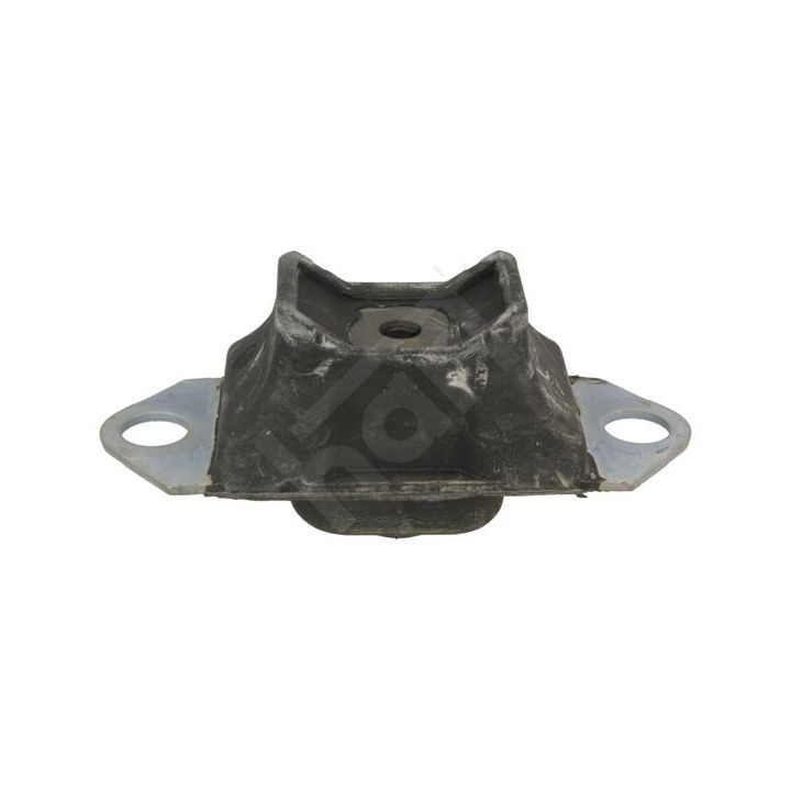 Variklio montavimas HART 353 702