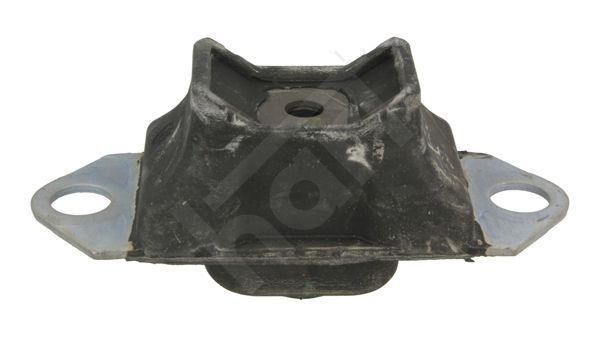 Variklio montavimas HART 353 702