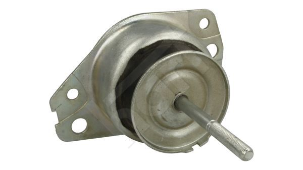 Variklio montavimas HART 356 752