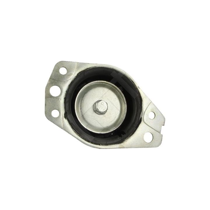 Variklio montavimas HART 356 752