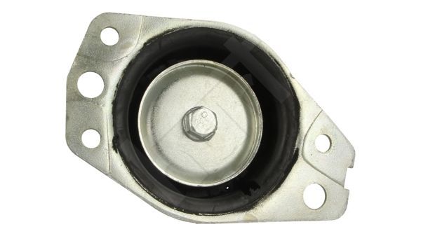 Variklio montavimas HART 356 752