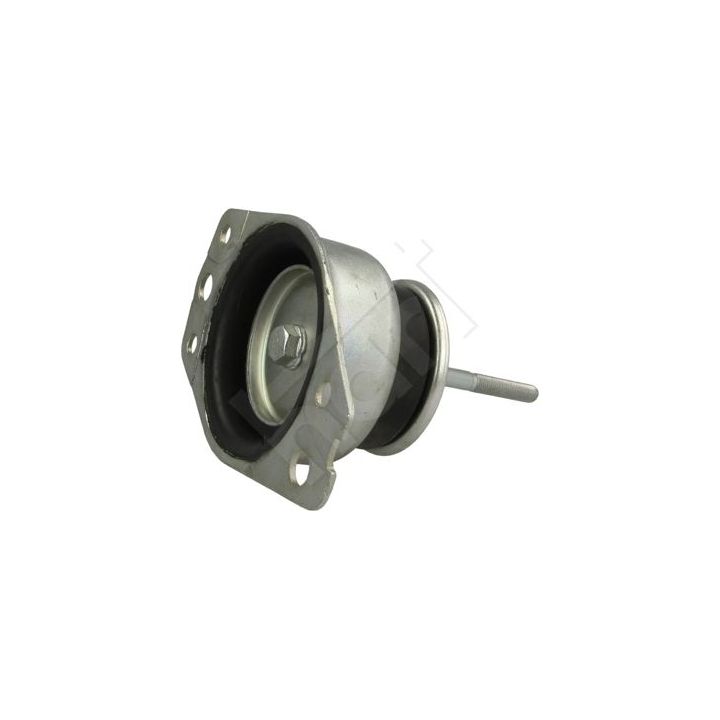 Variklio montavimas HART 356 752