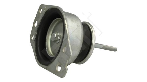 Variklio montavimas HART 356 752