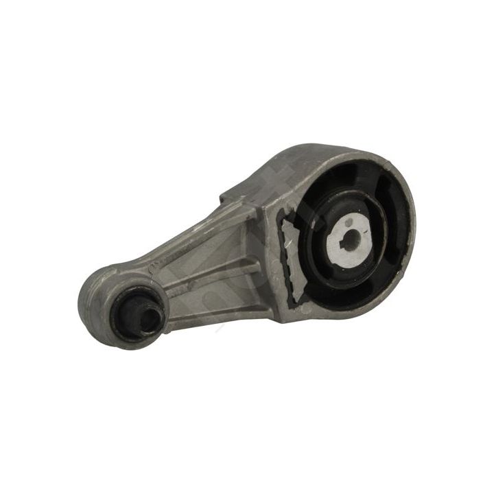 Variklio montavimas HART 356 755