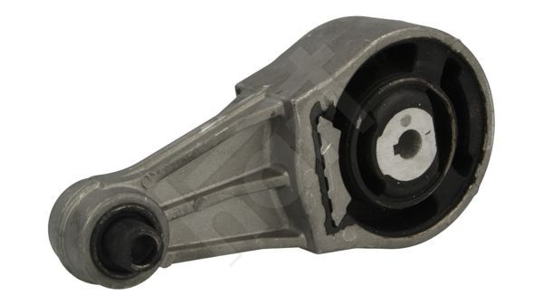 Variklio montavimas HART 356 755