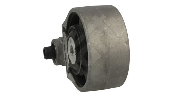 Variklio montavimas HART 356 755