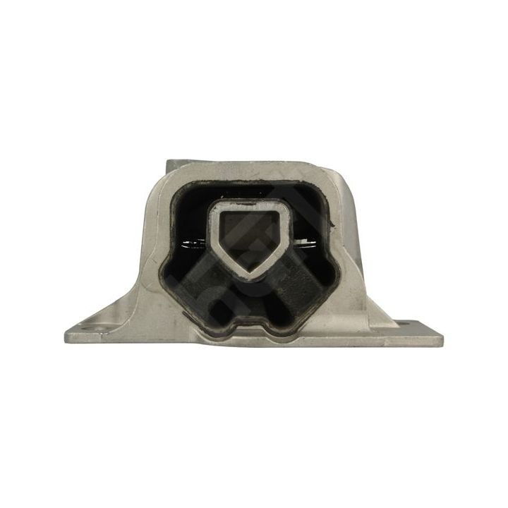 Variklio montavimas HART 358 773