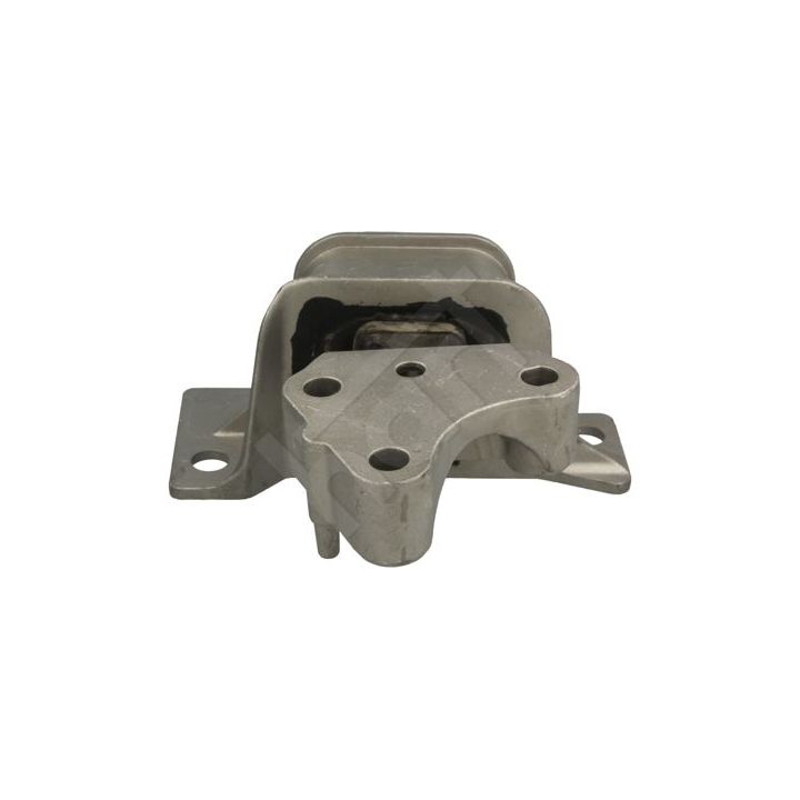 Variklio montavimas HART 358 773